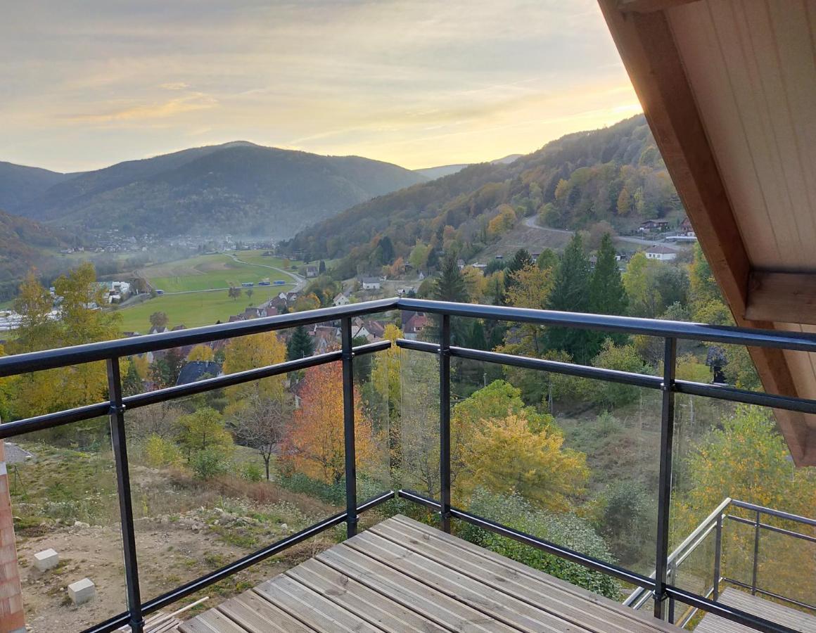 Au Chalet De Jo Muhlbach-sur-Munster Luaran gambar