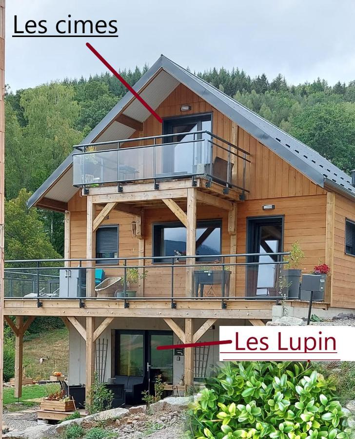 Au Chalet De Jo Muhlbach-sur-Munster Luaran gambar