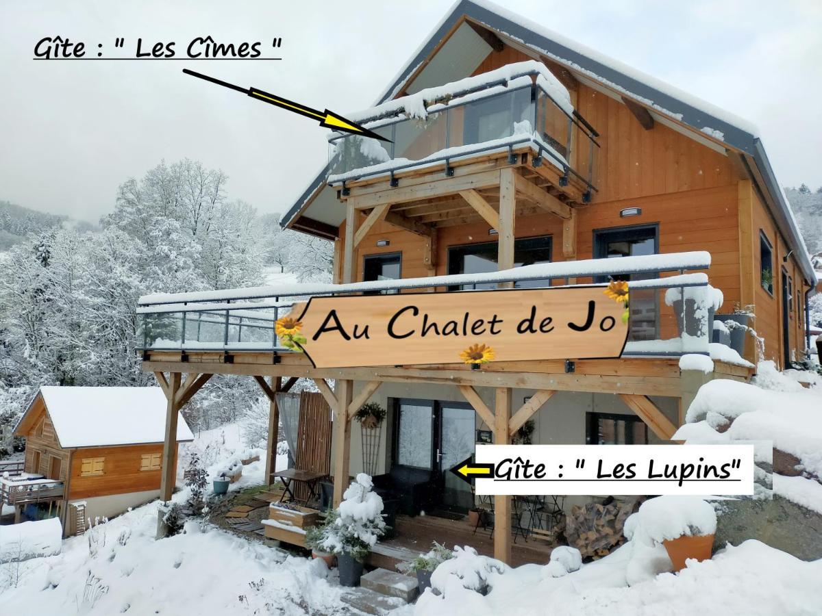 Au Chalet De Jo Muhlbach-sur-Munster Luaran gambar
